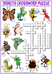 Insects ESL Printable Crossword Puzzle Worksheet for Kids