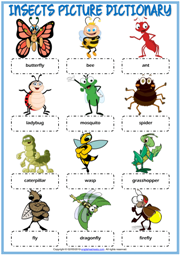 Insects ESL Printable Picture Dictionary Worksheet For Kids