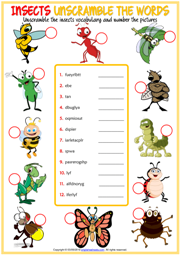 Insects ESL Unscramble the Words Worksheet For Kids
