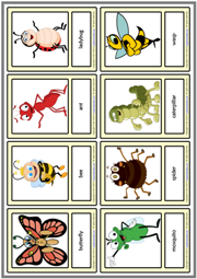Insects ESL Printable Vocabulary Learning Cards For Kids