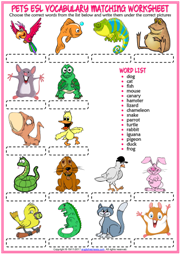 Pets ESL Printable Matching Exercise Worksheet For Kids