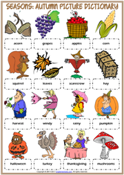 Autumn ESL Printable Picture Dictionary Worksheet For Kids