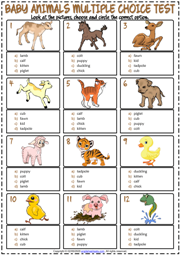 Baby Animals ESL Printable Multiple Choice Test For Kids