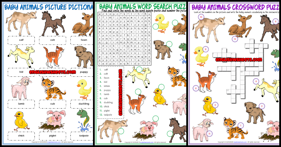 Baby Animals ESL Vocabulary Worksheets