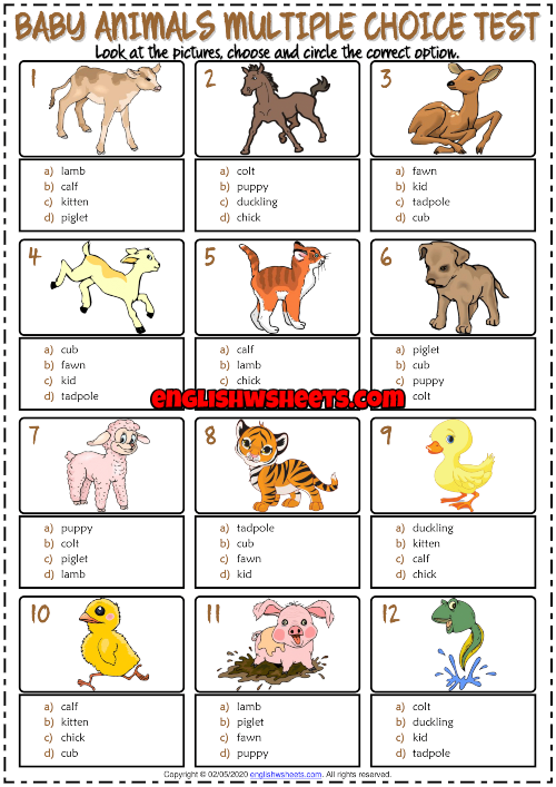 Baby Animals ESL Printable Multiple Choice Test For Kids