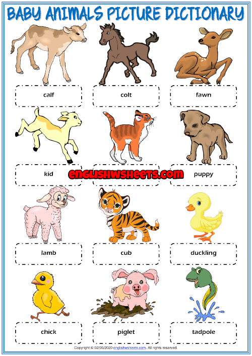 Baby Animals ESL Picture Dictionary Worksheet For Kids