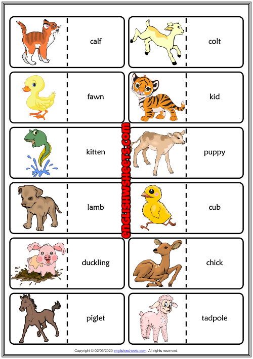 Baby Animals ESL Printable Dominoes Game For Kids
