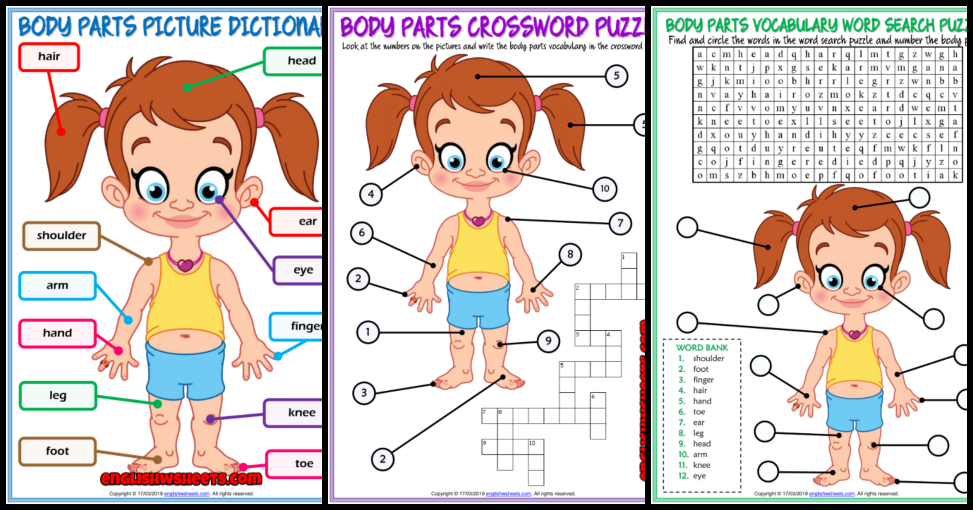 Computer Parts ESL Printable Picture Dictionary For Kids