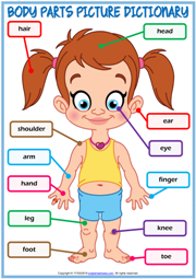 Body Parts Esl Vocabulary Worksheets How many organs and body parts can you find in the puzzle? body parts esl vocabulary worksheets
