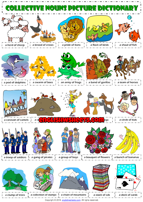 collective-nouns-esl-picture-dictionary-worksheet
