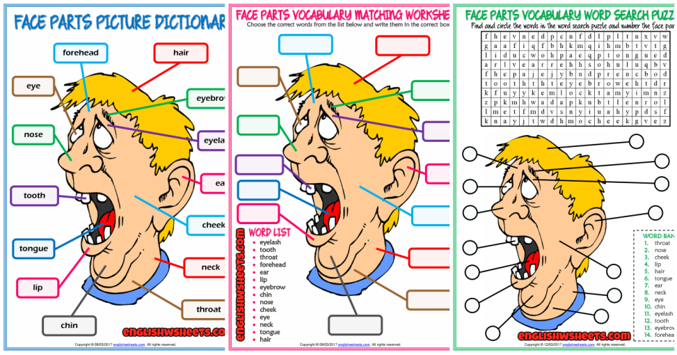 face-parts-esl-vocabulary-worksheets