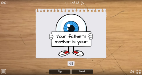 Family Members ESL Interactive Vocabulary Flashcards