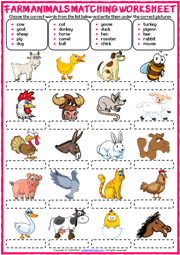 Farm Animals ESL Vocabulary Matching Exercise Worksheet
