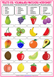 Fruits ESL Vocabulary Matching Exercise Worksheet For Kids