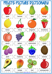 Fruits Picture Dictionary ESL Printable Worksheet For Kids