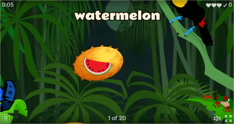 Fruits ESL Vocabulary Flying Fruit Game