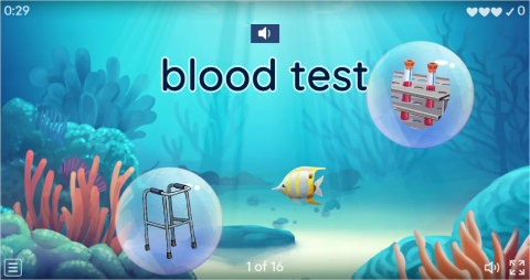 Hospital ESL Vocabulary Flying Fruit Game