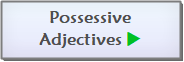 Possessive Adjectives Main Page