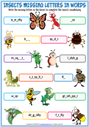Insects ESL Missing Letters In Words Exercise Worksheet