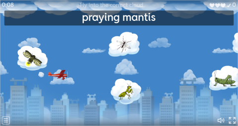 Insects ESL Vocabulary Airplane Game