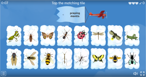 Insects ESL Interactive Find The Match Worksheet