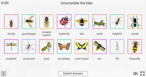 Insects ESL Interactive Match Up Worksheet