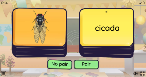 Insects ESL Vocabulary Pair or No Pair Worksheet