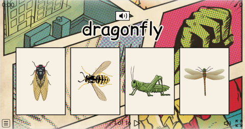 Insects ESL Interactive Vocabulary Quiz