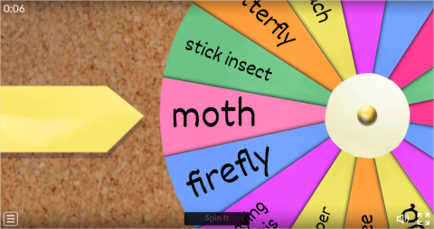 Insects ESL Interactive Spin The Wheel Worksheet