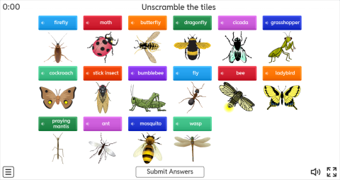 Insects ESL Interactive Unscramble Worksheet