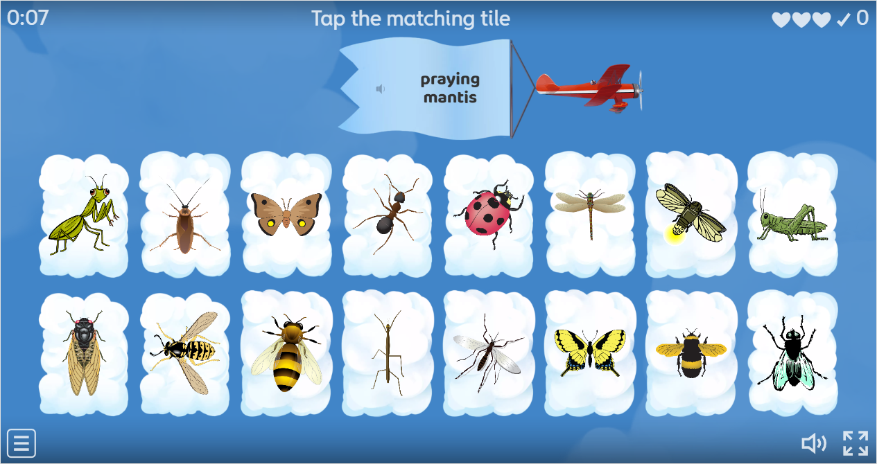 Insects ESL Interactive Find The Match Worksheet