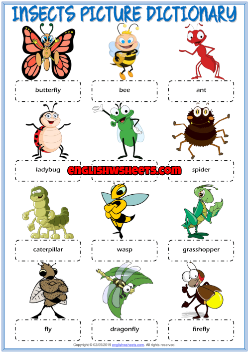 insects-esl-printable-picture-dictionary-worksheet-for-kids