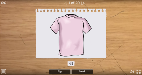 Opposite Adjectives ESL Interactive Flashcards