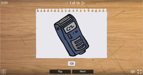 Personal Care Products ESL Interactive Flashcards