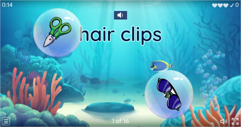 Personal Care Products ESL Vocabulary Flying Fruit Game