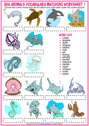 Sea Animals ESL Vocabulary Matching Exercise Worksheets