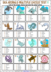 Sea Animals ESL Vocabulary Worksheets