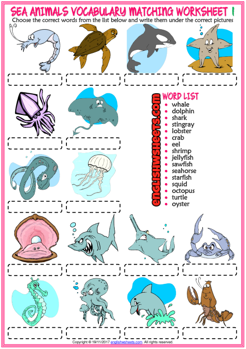 Sea Animals ESL Vocabulary Matching Exercise Worksheets