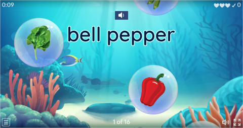 Vegetables ESL Vocabulary Flying Fruit Game